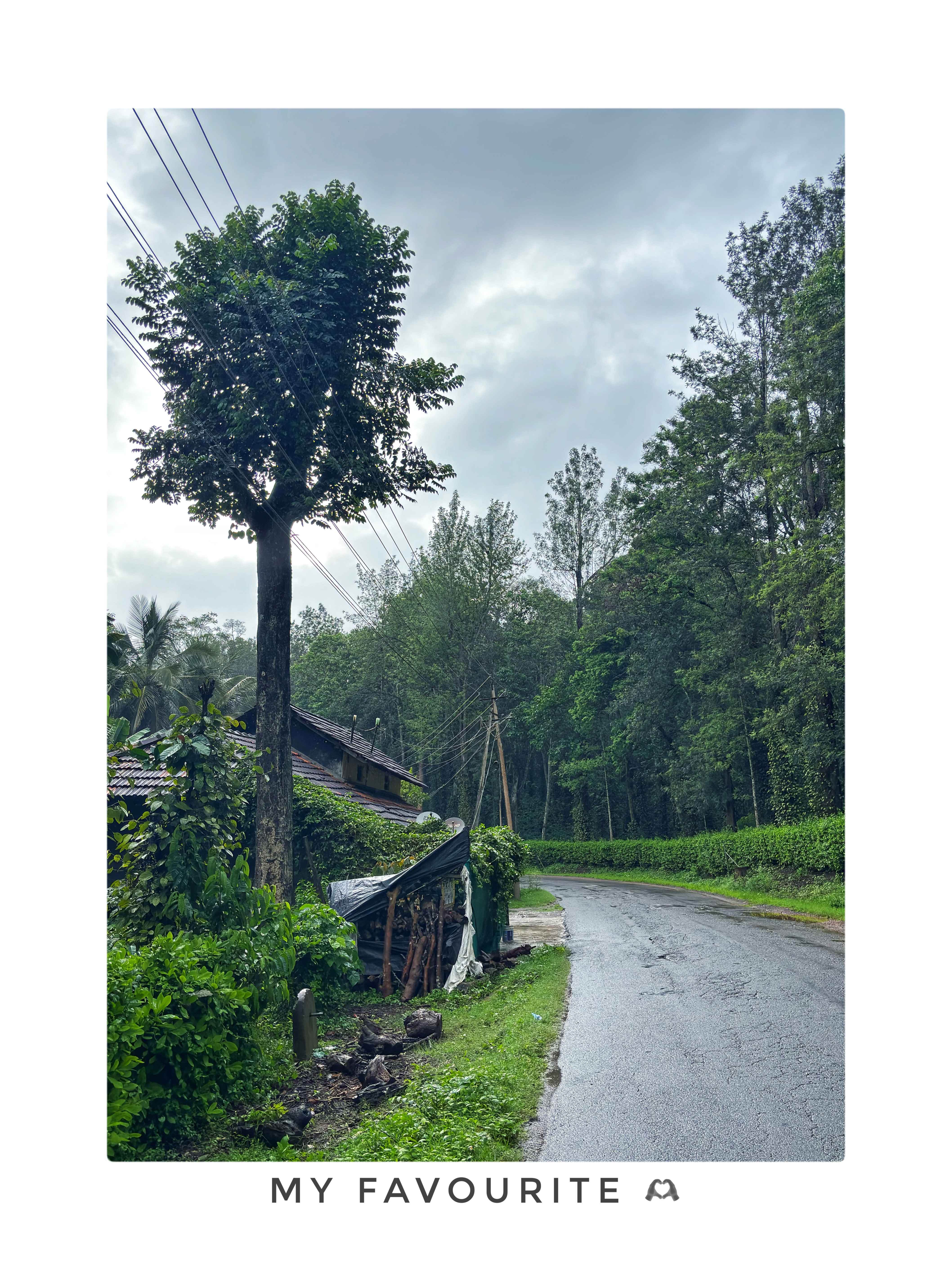 Coorg photo 1
