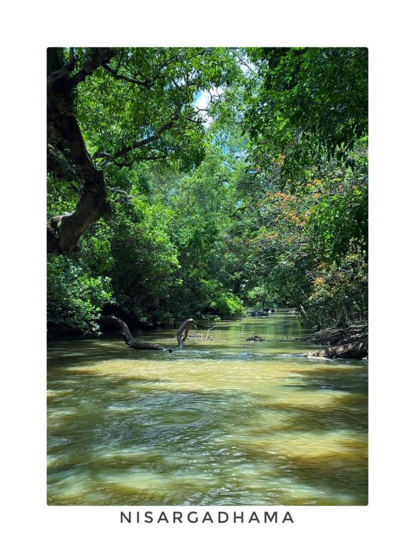 Coorg photo 4
