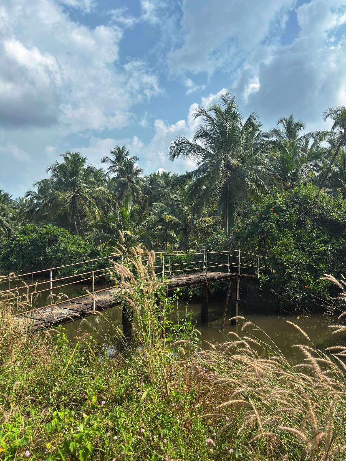 Udupi photo 4